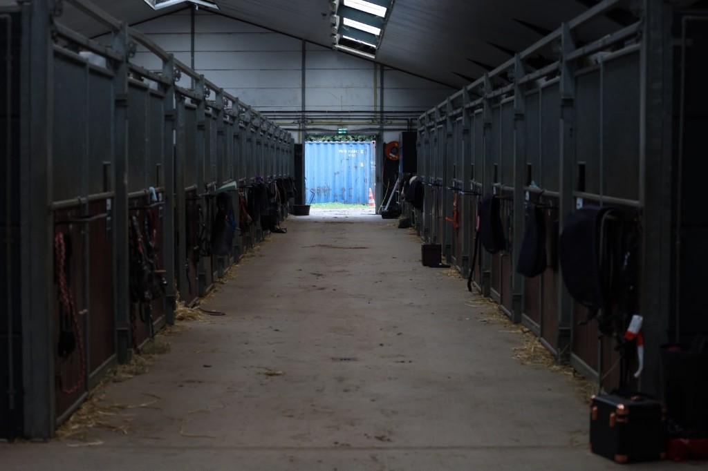 Een rustige, lange stalgang met rijen paardenboxen aan weerszijden en een doorkijk naar buiten.
