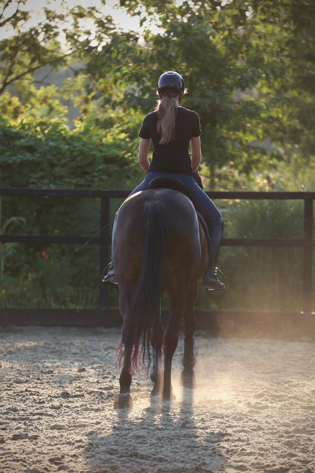 Achterbenen van een paard in beweging tijdens dressuurtraining