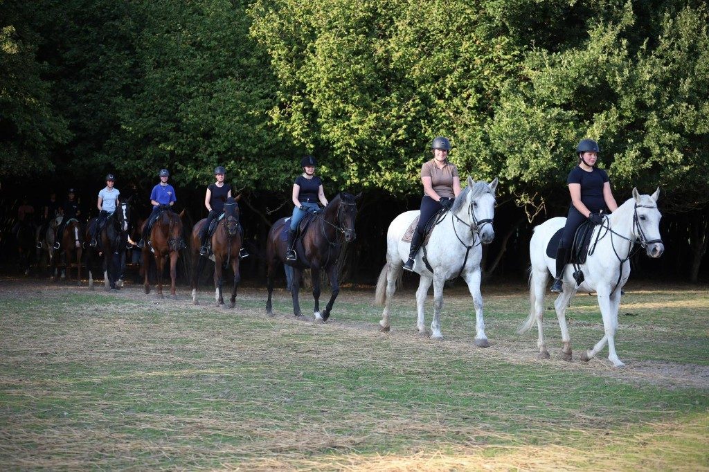 Groen buitengebied rond de manege