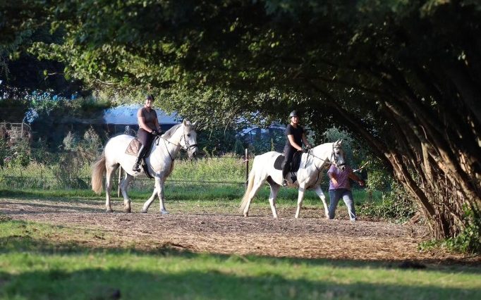 Bospad in de omgeving